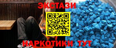 гашик Кингисепп
