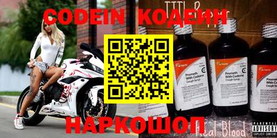 гашик Кингисепп
