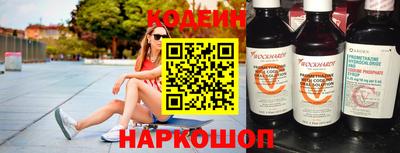 гашик Кингисепп