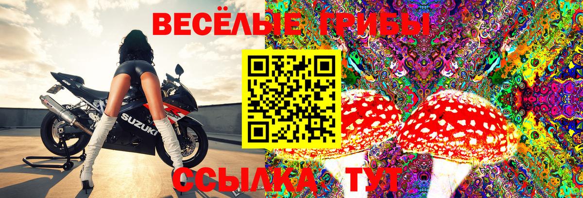 Кудымкар  Галлюциногенные грибы MAGIC MUSHROOMS  Галлюциногенные грибы GOLDEN TEACHER  Вход с VPN 