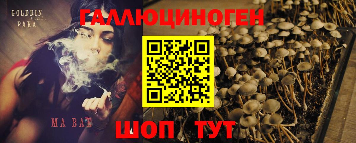 Псилоцибиновые грибы мухоморы Кудымкар